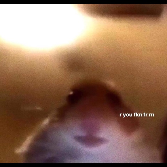 Meet your Posher, Jocelyn - Picture 1 of 1